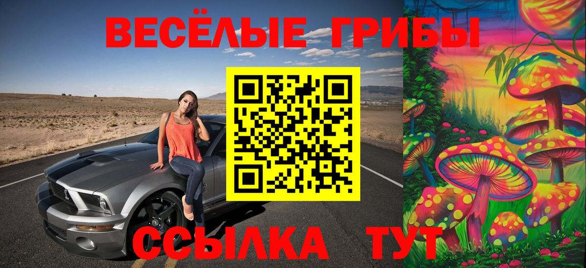 Галлюциногенные грибы Cubensis Ливны